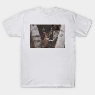 White-Tailed Deer T-Shirt